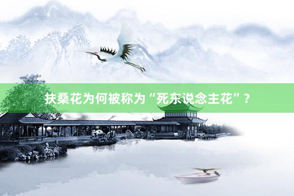 扶桑花为何被称为“死东说念主花”？