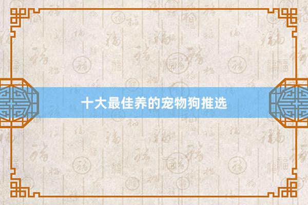 十大最佳养的宠物狗推选