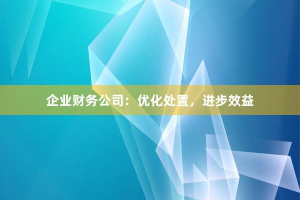 企业财务公司：优化处置，进步效益